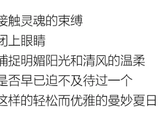 YF | 夏 你好，盛夏隨心型走